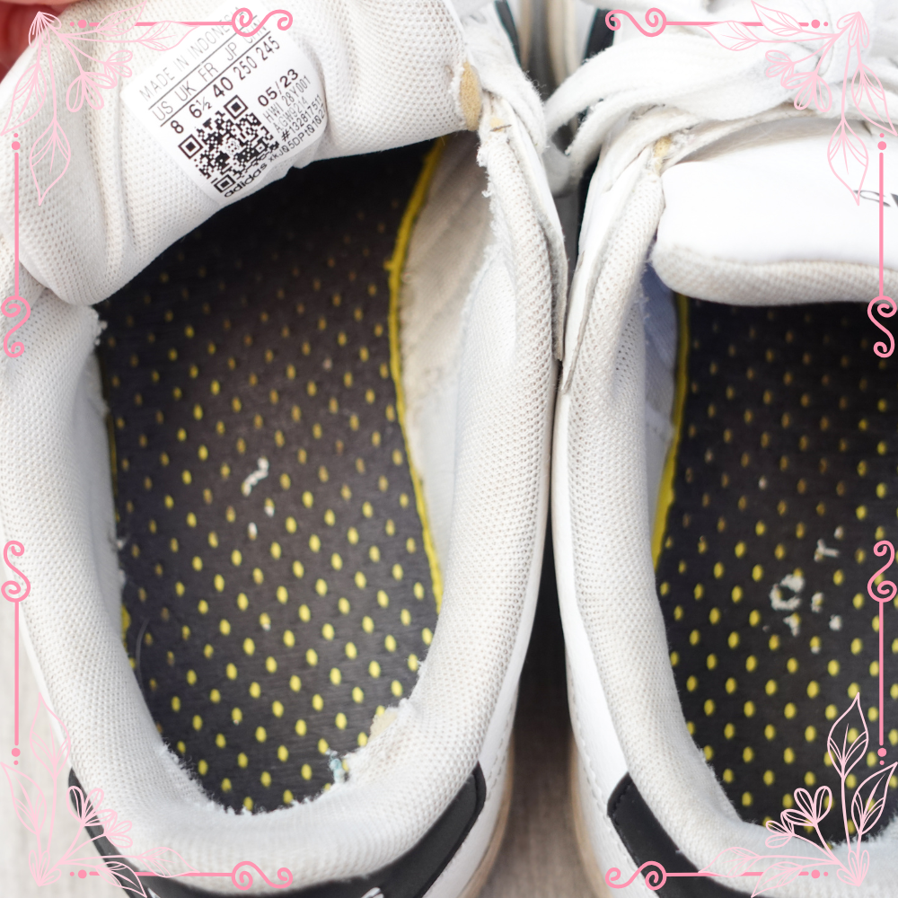 Adidas Courts Worn For 2 YEARS